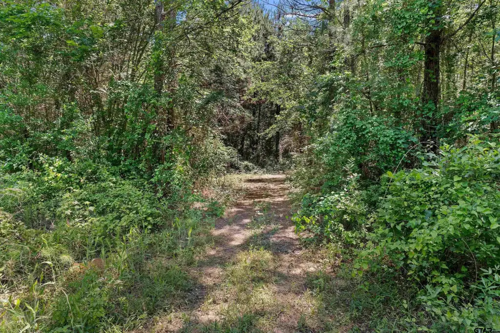 Picture 20