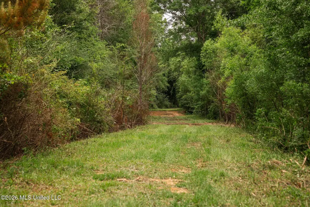 Picture 43