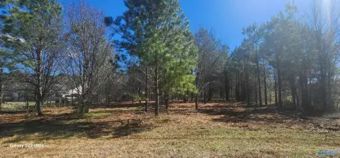 Residential Land in Gurley, AL