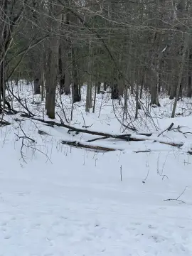 Residential Land in Shepherd, MI