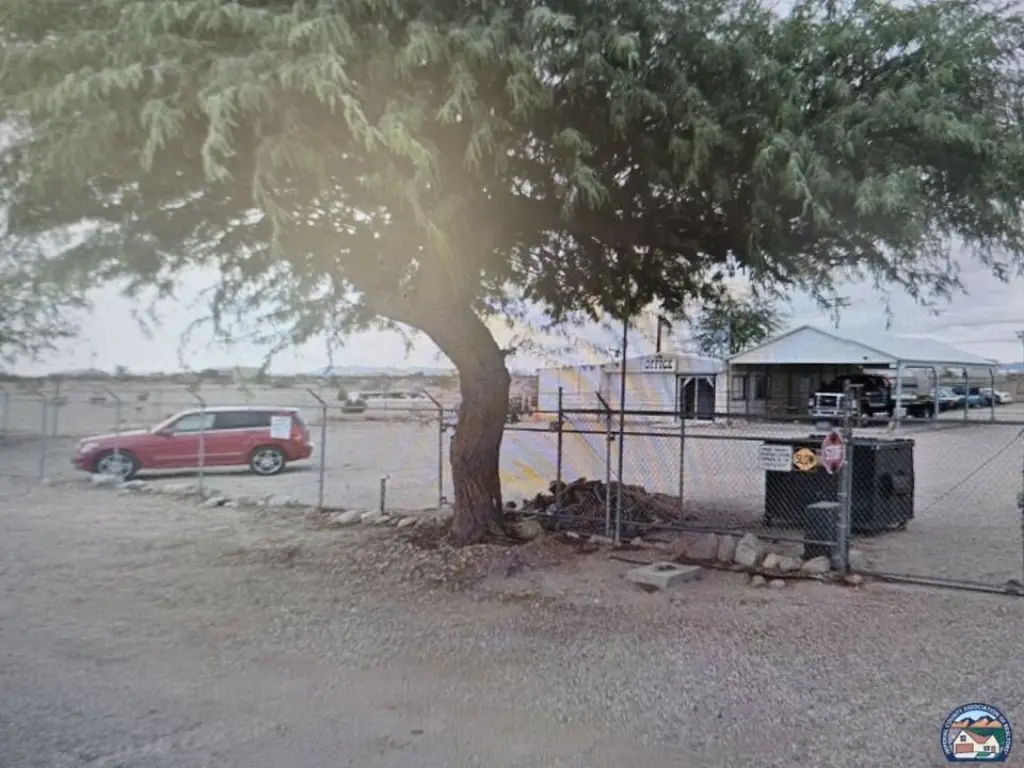 Picture 3