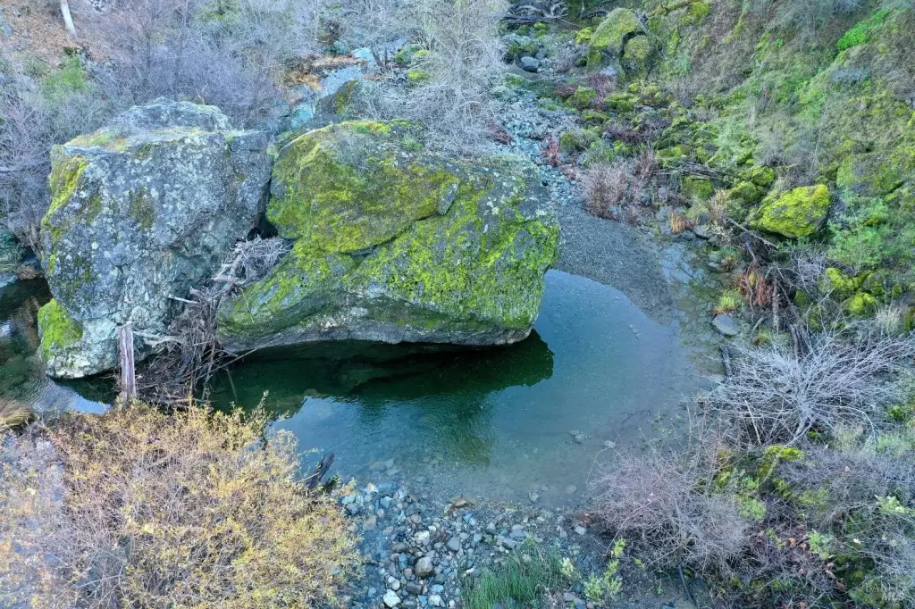 Picture 16