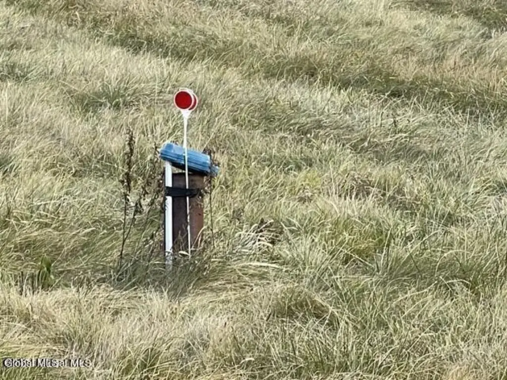 Picture 46