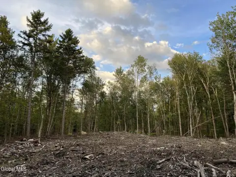 Wooded Recreation Land