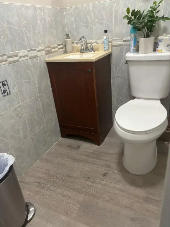 Picture 5