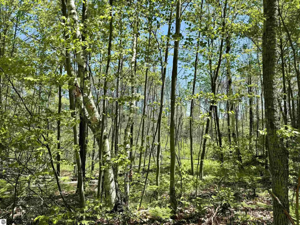 Picture 22