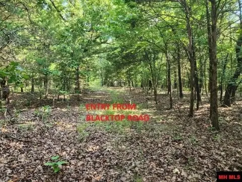 Unrestricted Wooded Tract Near Norfork