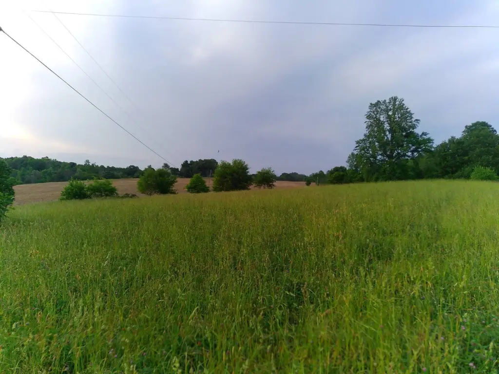 Picture 9
