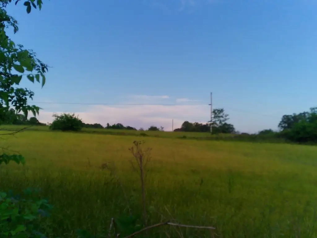Picture 24