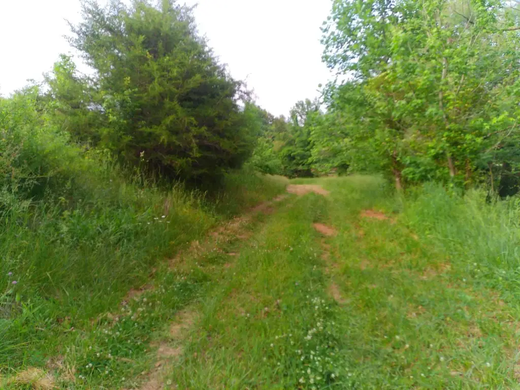 Picture 12