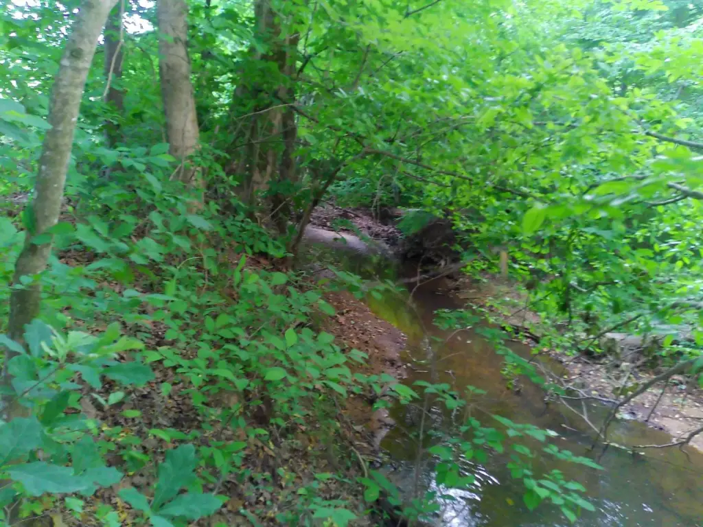 Picture 33