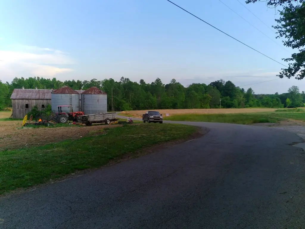 Picture 45