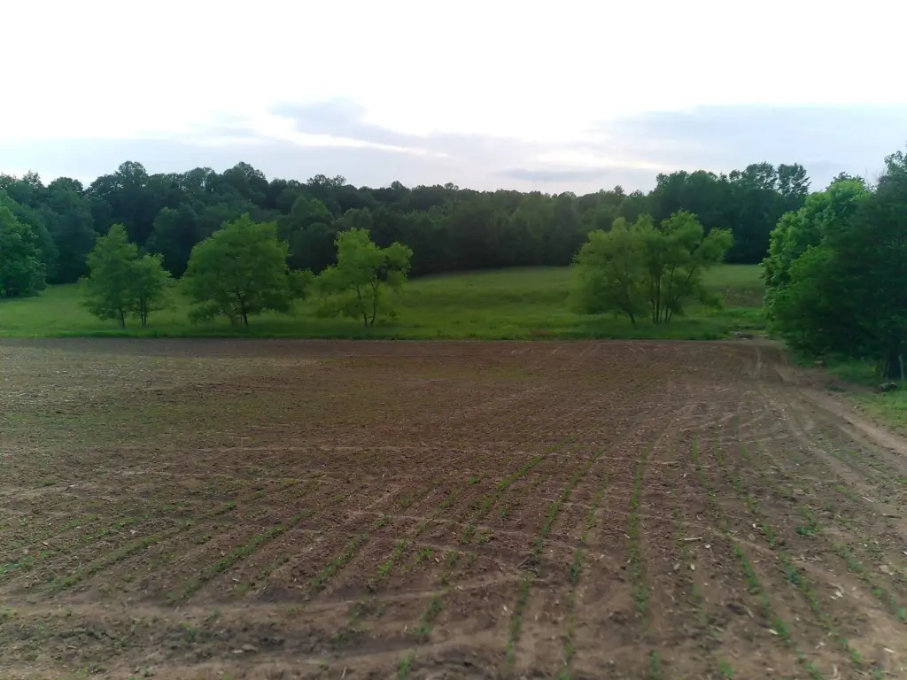 Picture 43