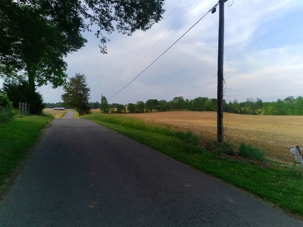 Picture 46