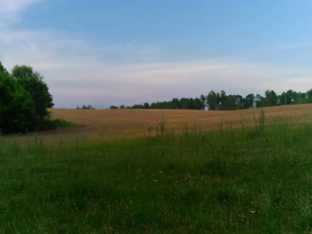Picture 30