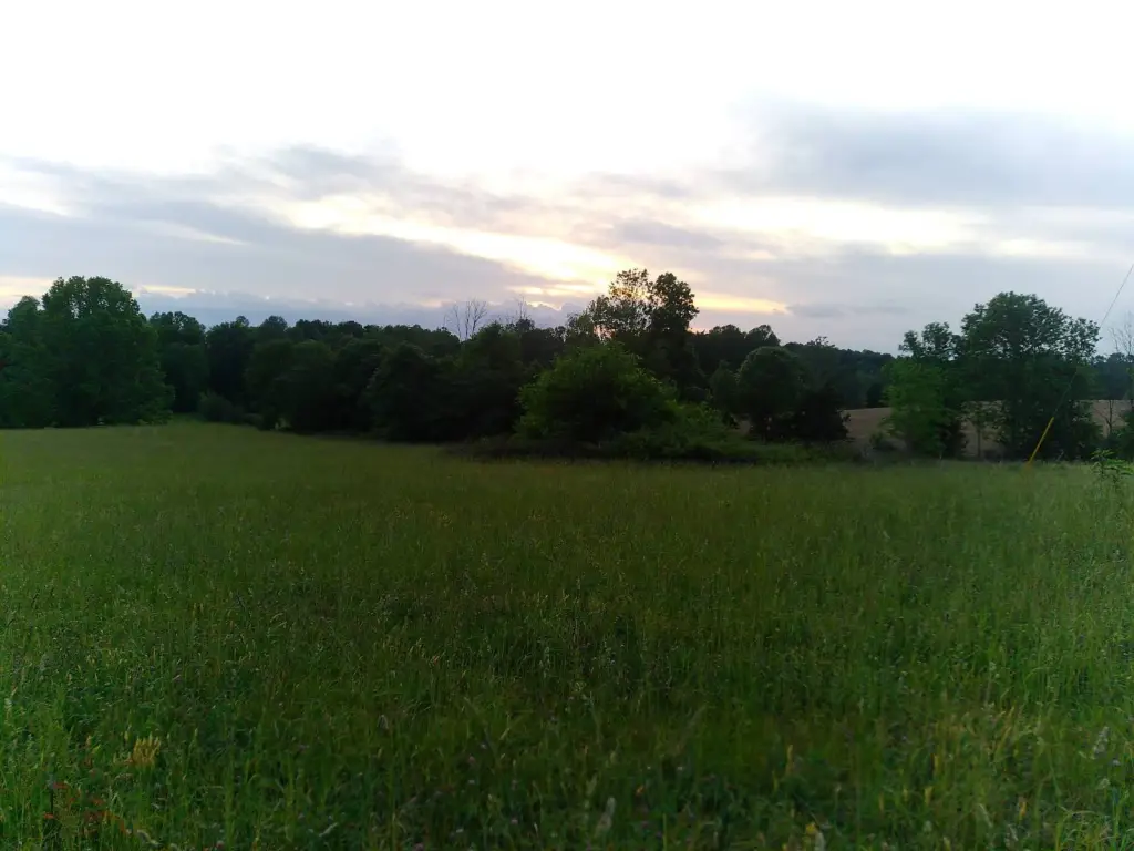 Picture 7