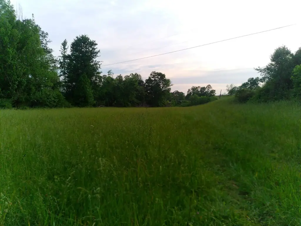 Picture 14
