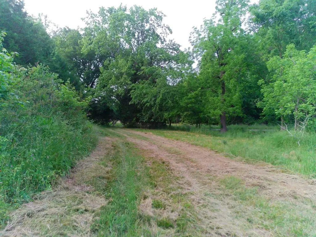 Picture 6