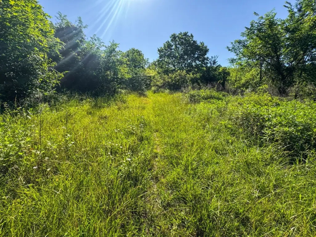 Picture 26