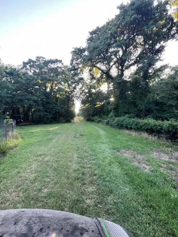 Picture 21