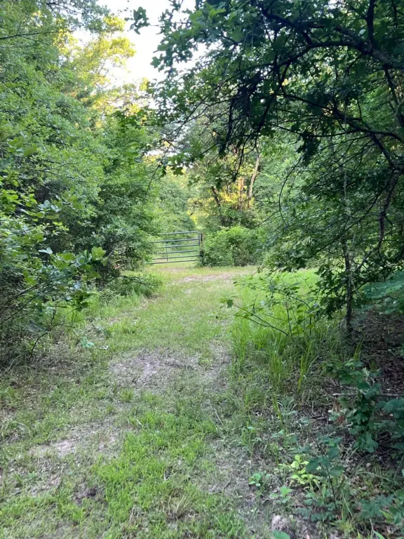 Picture 28