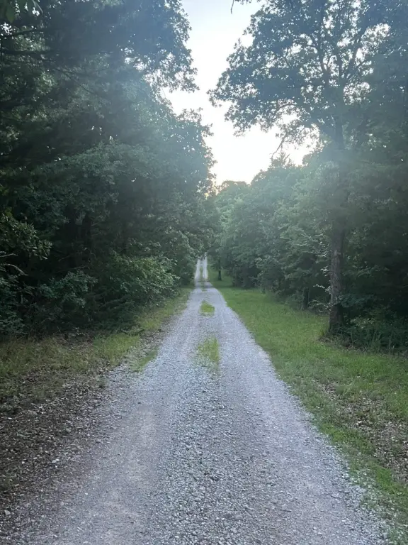 Picture 56
