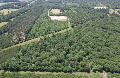 45 Acres of Unimproved Land