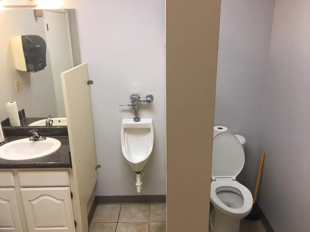 Picture 15