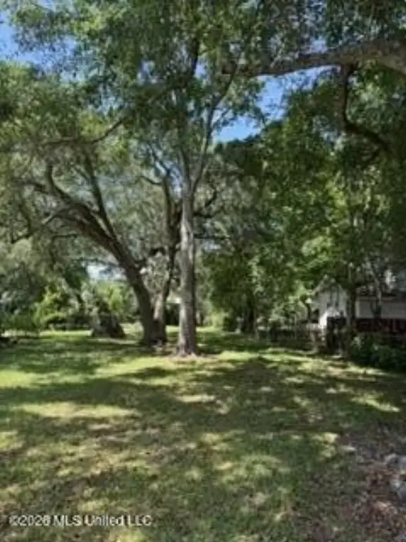 Picture 2