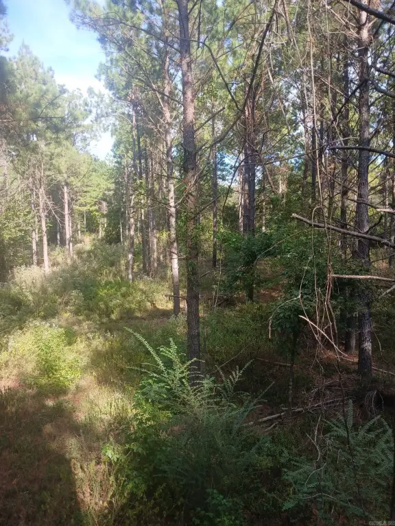 Picture 21
