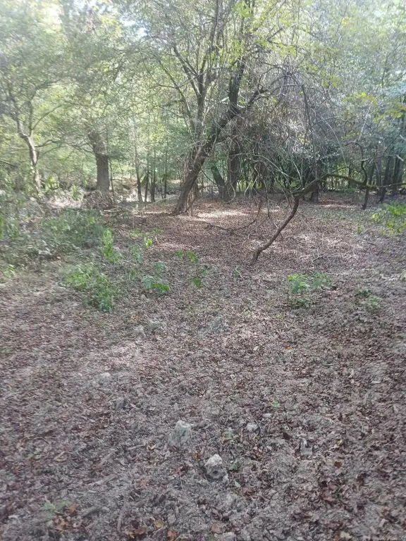 Picture 15