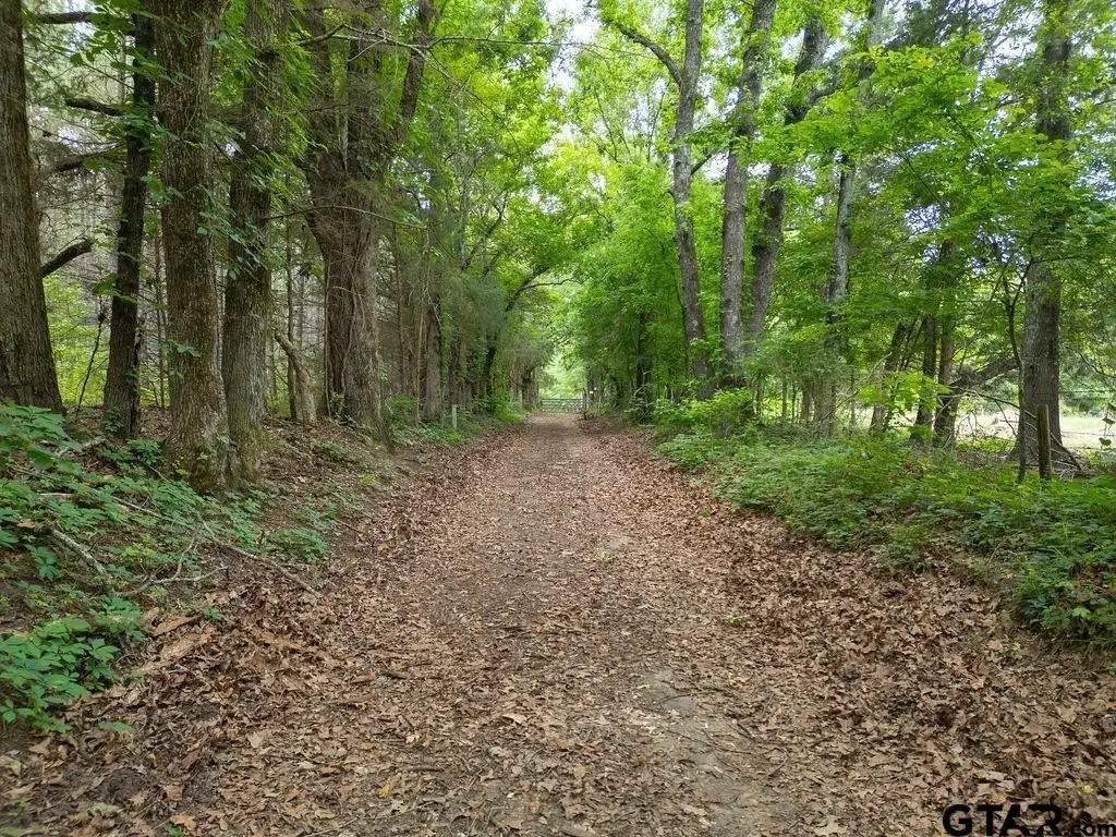 Picture 12
