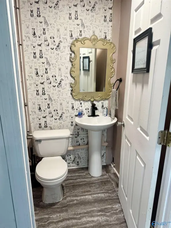 Picture 2