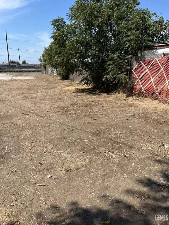 Picture 5