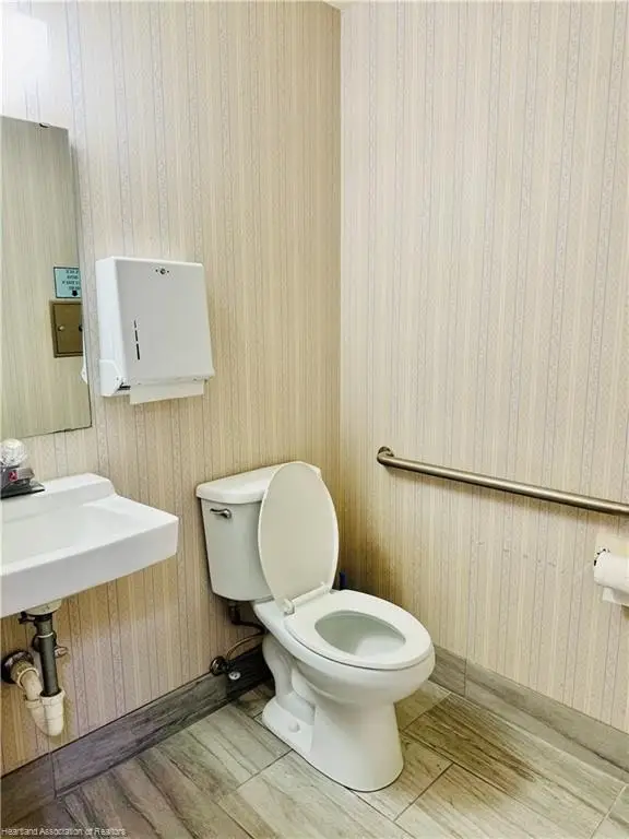 Picture 19