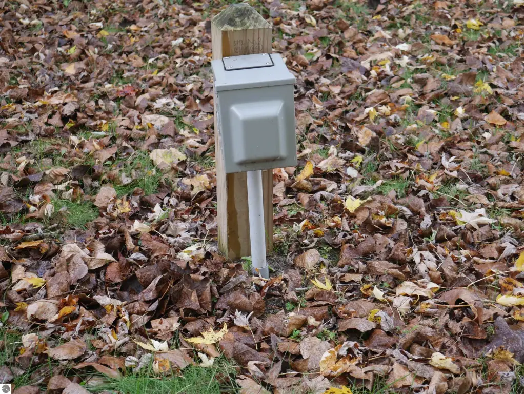 Picture 9