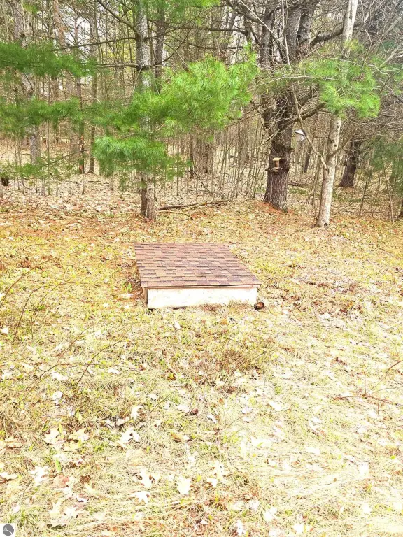 Picture 8