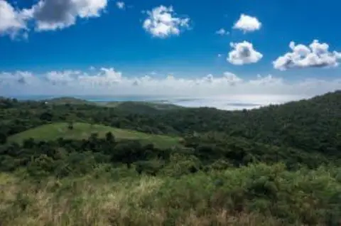 Buildable Agricultural Land Parcels
