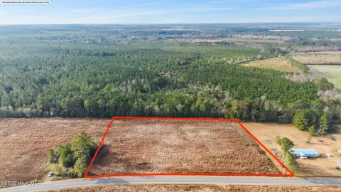 Farmland Opportunity in Willard, NC