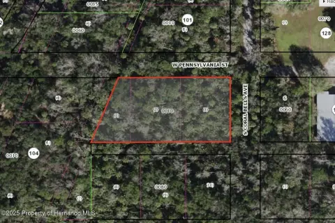 Spacious Land in Homosassa, FL