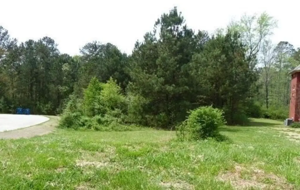 Picture 12