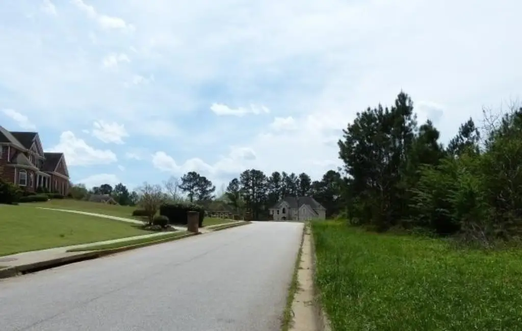 Picture 8