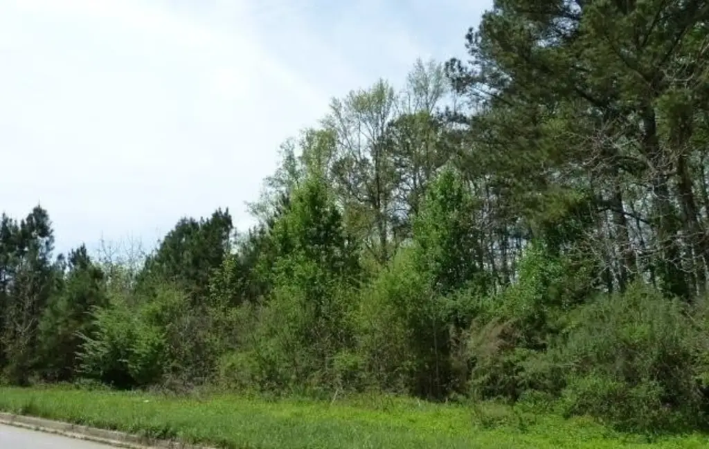 Picture 9