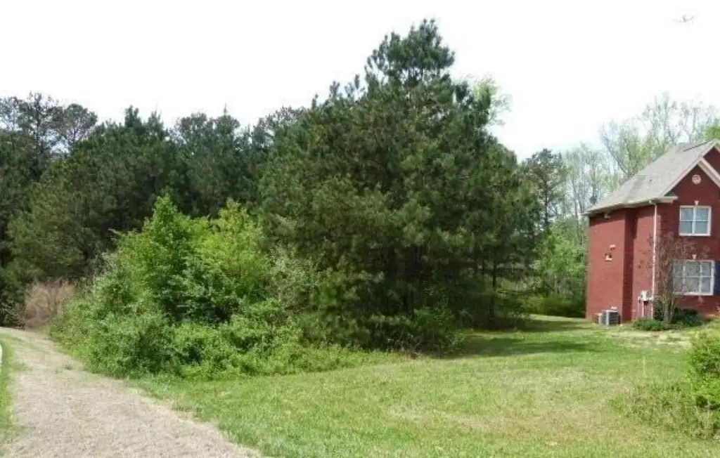 Picture 14