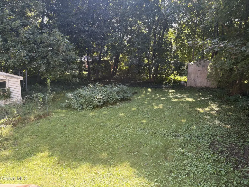 Picture 19