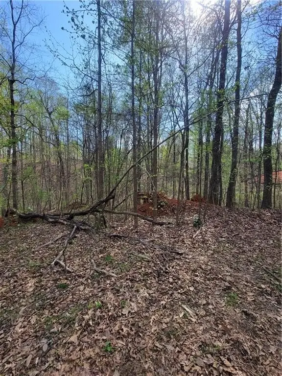 Picture 11