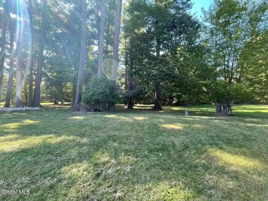 Picture 17