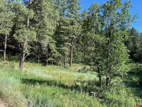 Pagosa Springs Residential Land