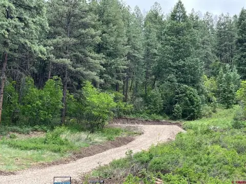 Pagosa Springs Wooded Residential Lot