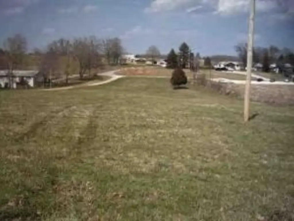 Picture 3